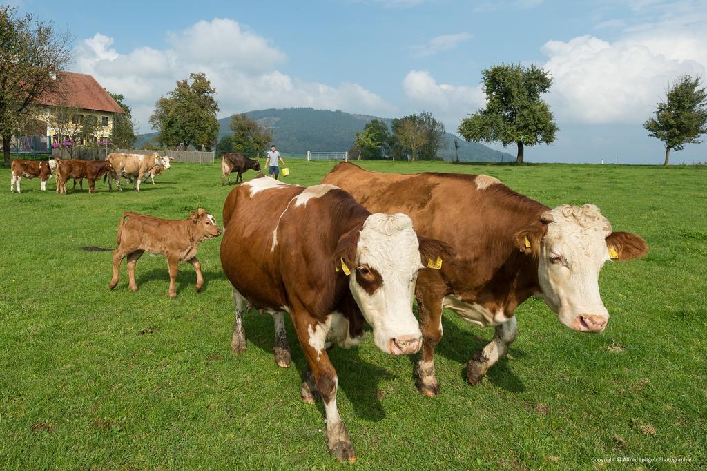 Weslhof Vila Attersee Exterior foto